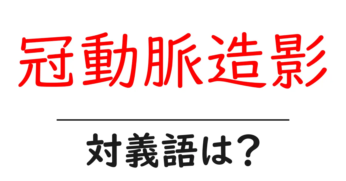 冠動脈造影の対義語・反対語を使用例を交えて分かりやすく解説！