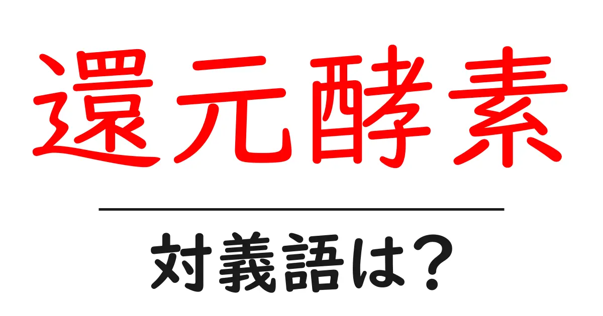 還元酵素の対義語・反対語を使用例を交えて分かりやすく解説!