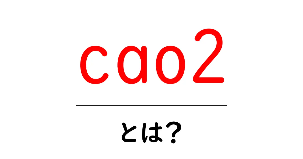 cao2とは？初心者でも分かる基本解説と実践ガイド共起語・同意語・対義語も併せて解説！