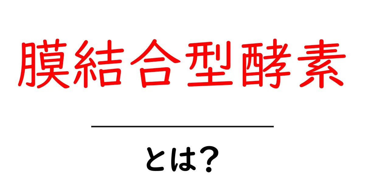 膜結合型酵素とは？仕組みと役割を中学生にもわかる解説共起語・同意語・対義語も併せて解説！