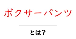 ボクサーパンツとは？初心者向けの基本と選び方ガイド共起語・同意語・対義語も併せて解説！
