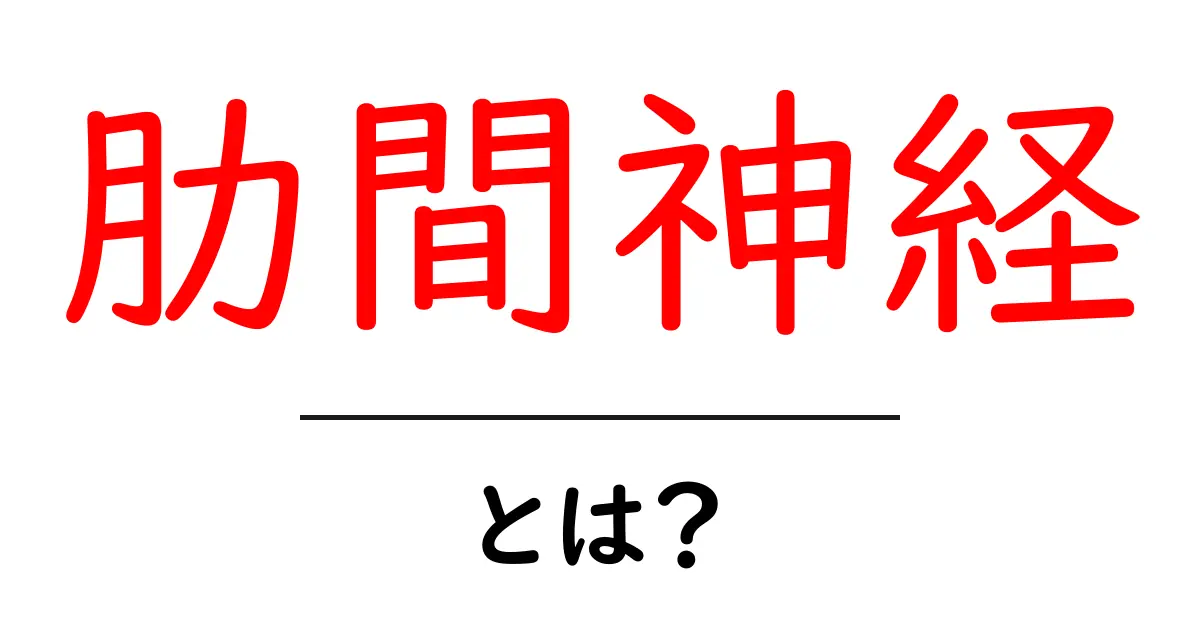 肋間神経・とは？初心者にやさしく解説する基本ガイド共起語・同意語・対義語も併せて解説！