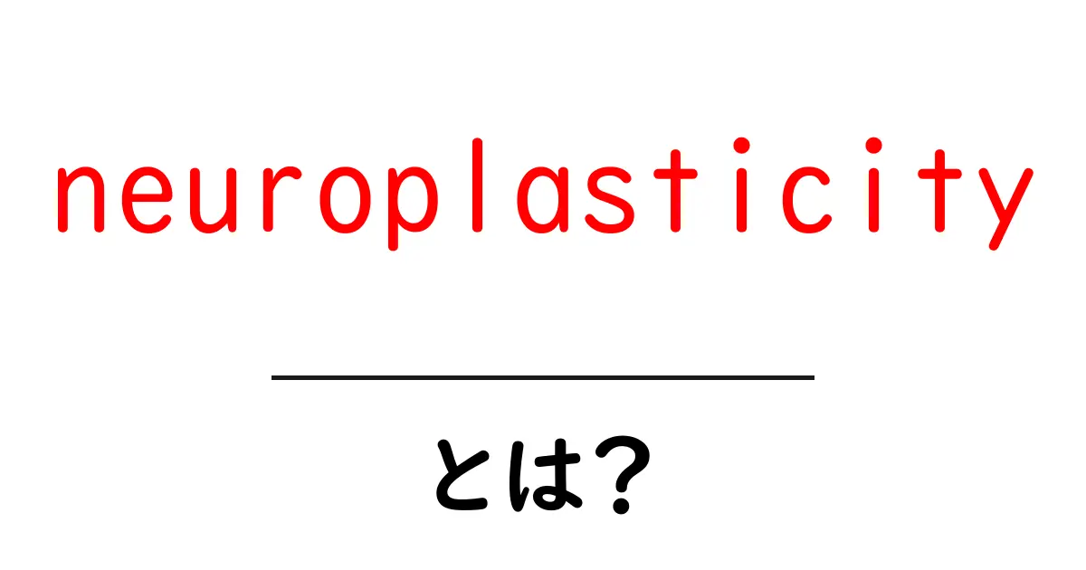 neuroplasticityとは？初心者向け解説で脳が変わるしくみを学ぶ共起語・同意語・対義語も併せて解説！