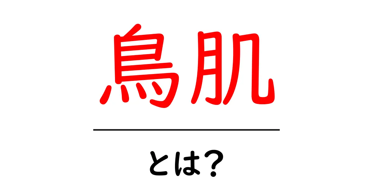 鳥肌とは？初心者にもわかる基本ガイド – 仕組みと使い方共起語・同意語・対義語も併せて解説！