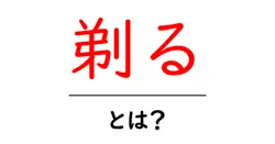 剃る・とは？初心者が知っておく意味と正しい剃り方ガイド共起語・同意語・対義語も併せて解説！