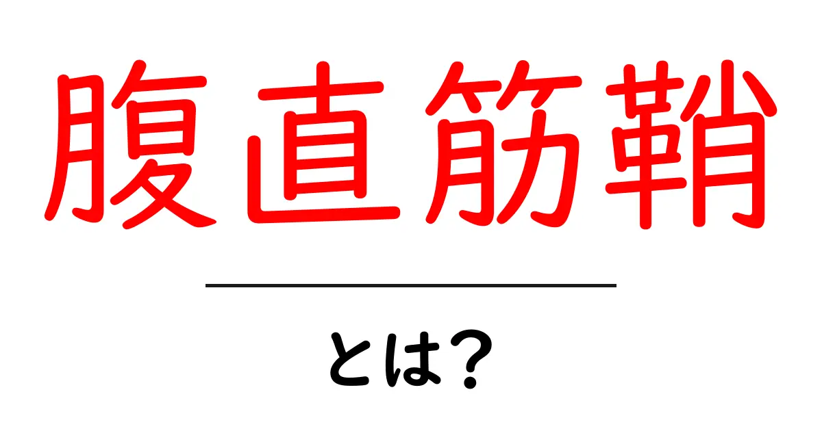 腹直筋鞘とは？腹部の秘密をやさしく解説共起語・同意語・対義語も併せて解説！