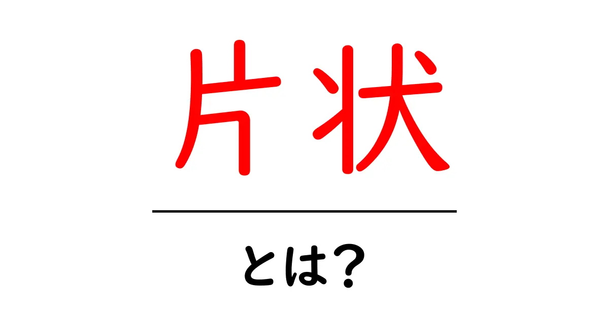 片状・とは?初心者向けにわかりやすく解説する意味と使い方共起語・同意語・対義語も併せて解説!