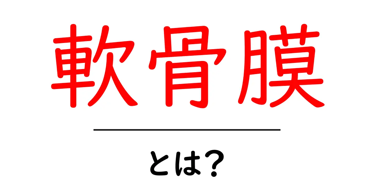 軟骨膜・とは？初心者でもわかる基本ガイド共起語・同意語・対義語も併せて解説！