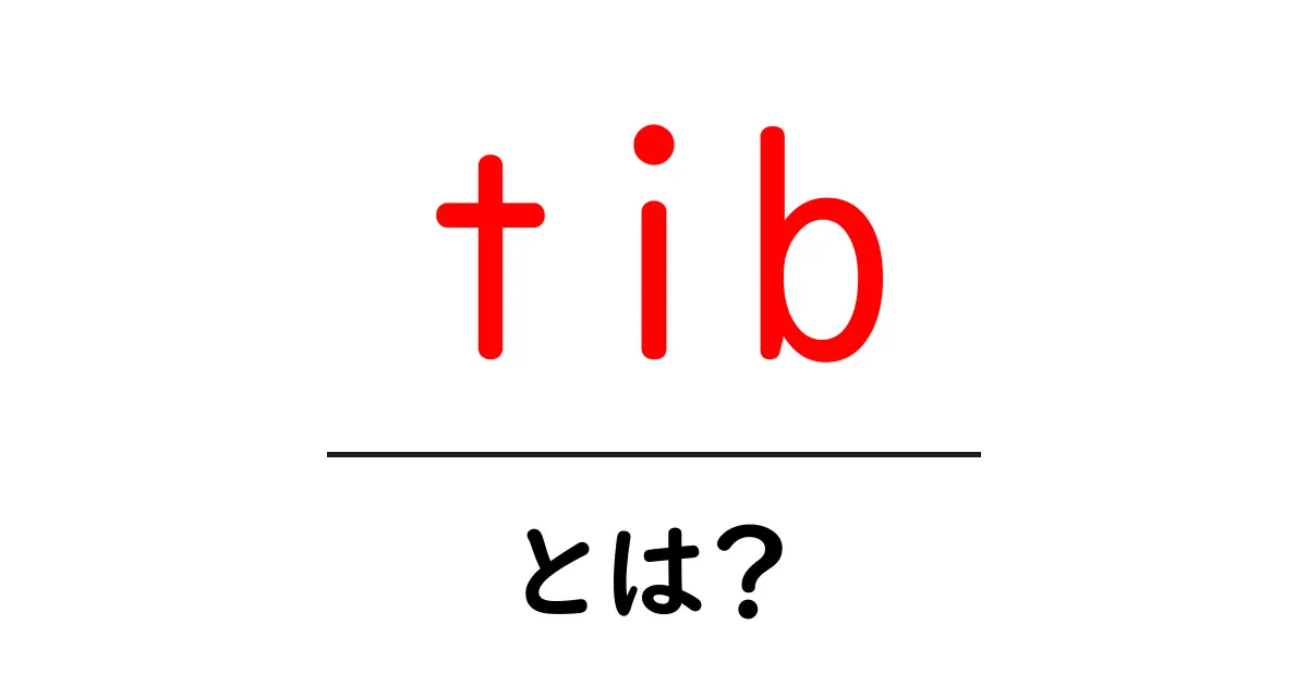 tib・とは？初心者が知っておくべき意味と使い方ガイド共起語・同意語・対義語も併せて解説！