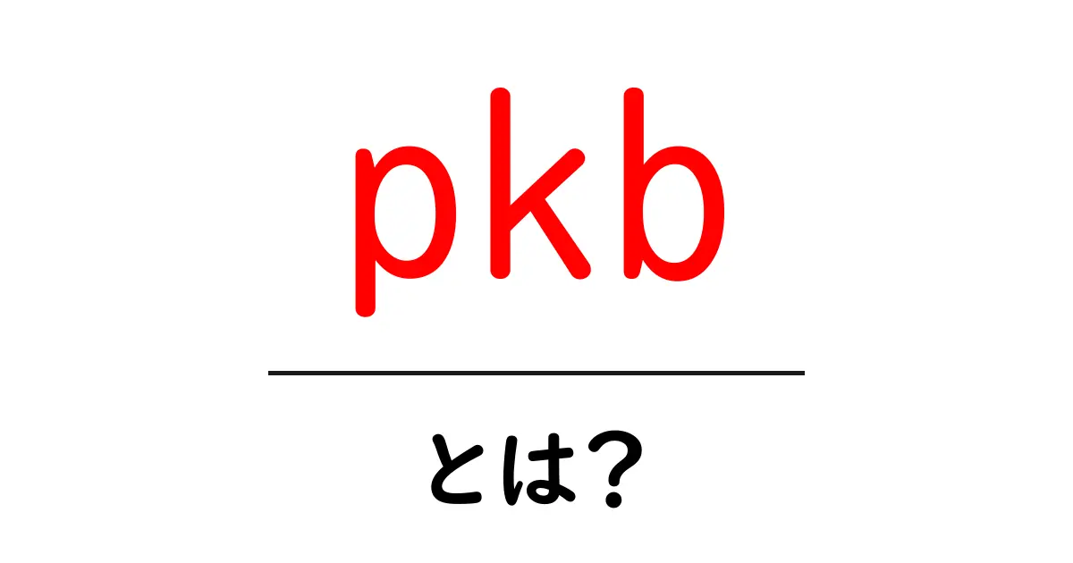 pkb・とは?初心者にもわかる解説と使い方共起語・同意語・対義語も併せて解説!