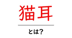 猫耳とは？初心者にもわかる基本と使い方ガイド共起語・同意語・対義語も併せて解説！