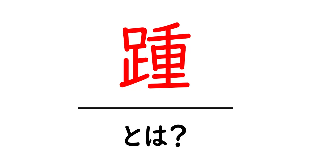 踵・とは？初心者にやさしい踵の基本とケア方法ガイド共起語・同意語・対義語も併せて解説！