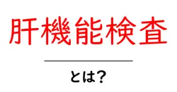 肝機能検査・とは？をわかりやすく解説します共起語・同意語・対義語も併せて解説！