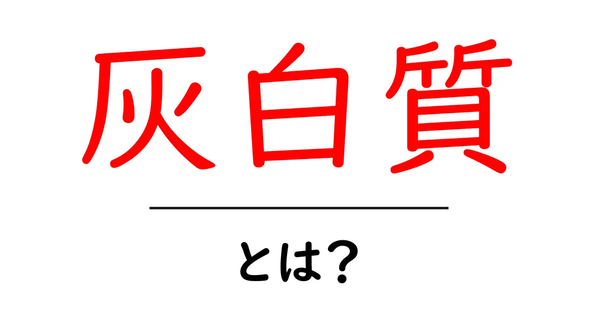 灰白質とは？初心者にも分かる脳の基礎ガイド共起語・同意語・対義語も併せて解説！