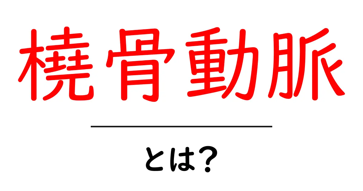 橈骨動脈・とは？初心者でもわかる基本と手首のしくみをやさしく解説共起語・同意語・対義語も併せて解説！