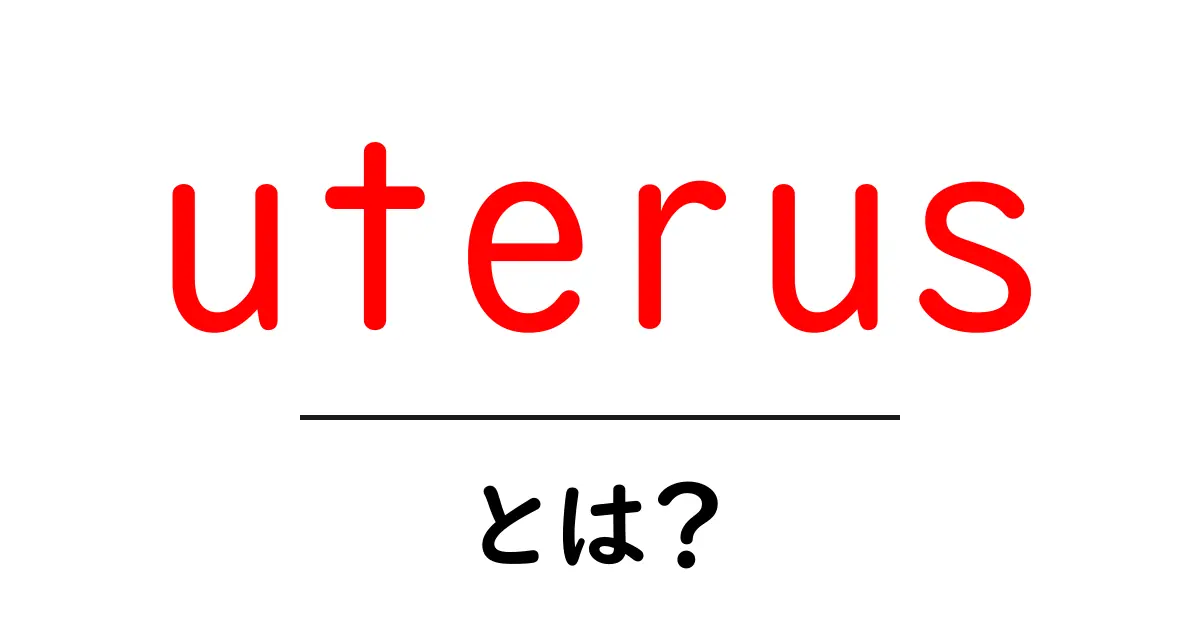 uterusとは？初心者向けにやさしく解説！体の仕組みを知ろう共起語・同意語・対義語も併せて解説！