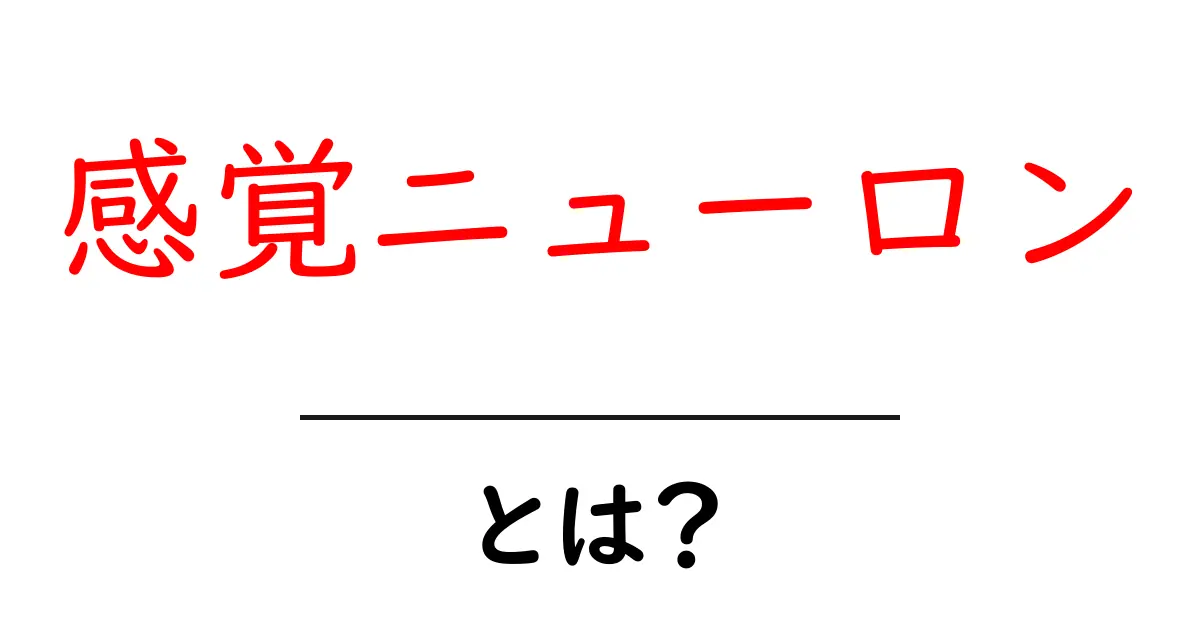 感覚ニューロンとは？初心者にも分かる基礎解説共起語・同意語・対義語も併せて解説！