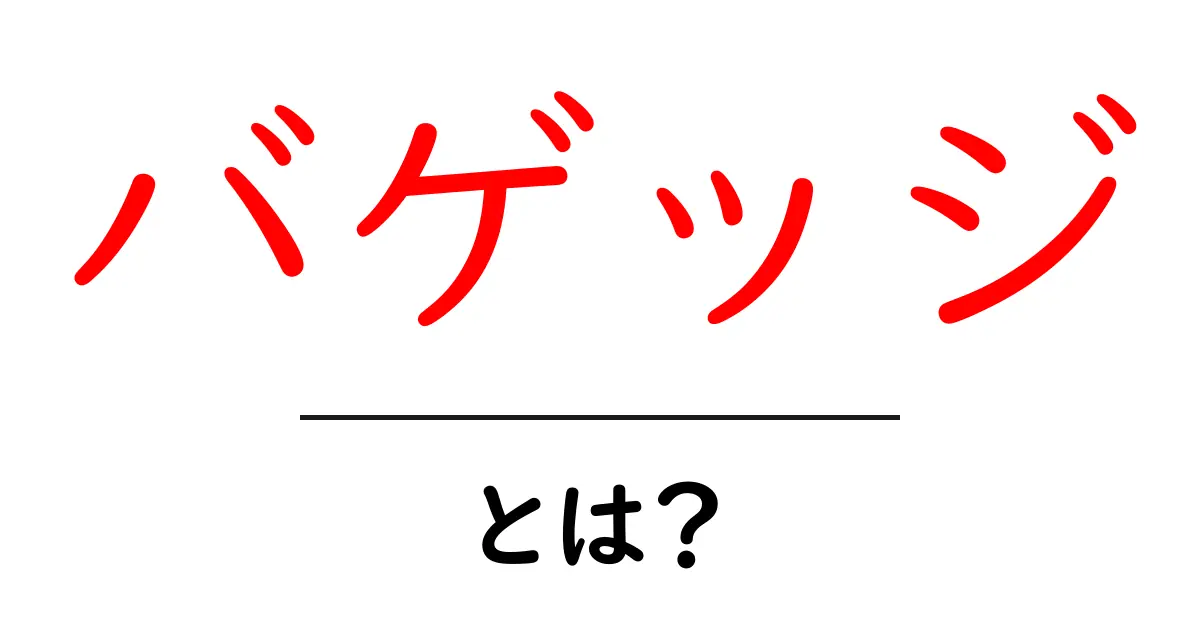バゲッジとは？初心者にもわかる荷物とデータの意味を徹底解説共起語・同意語・対義語も併せて解説！