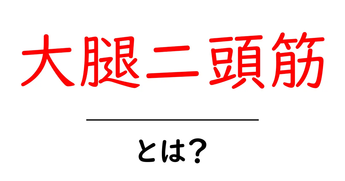 大腿二頭筋とは？初心者が知っておくべき基礎解説と鍛え方ガイド共起語・同意語・対義語も併せて解説！