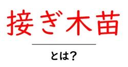 接ぎ木苗・とは?初心者にも分かる基礎ガイドと育て方共起語・同意語・対義語も併せて解説!