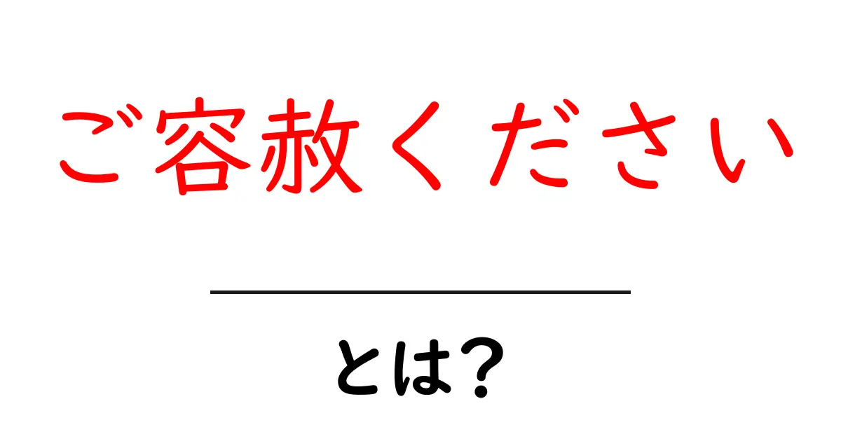 ご容赦ください・とは？初心者向けに分かりやすく解説共起語・同意語・対義語も併せて解説！
