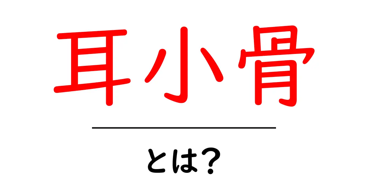 耳小骨・とは？耳の小さな骨が聴こえを支えるしくみを解説共起語・同意語・対義語も併せて解説！