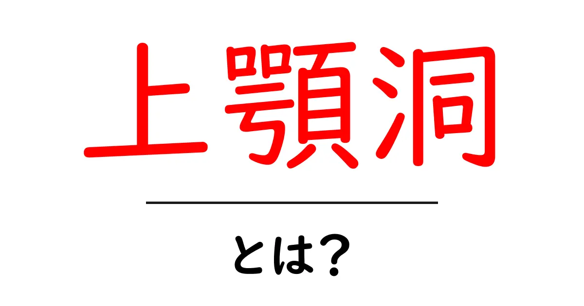 上顎洞とは？基礎から病気の予防まで初心者にもわかる徹底解説共起語・同意語・対義語も併せて解説！