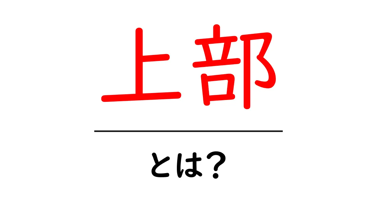 上部・とは？初心者にも分かる意味と使い方共起語・同意語・対義語も併せて解説！