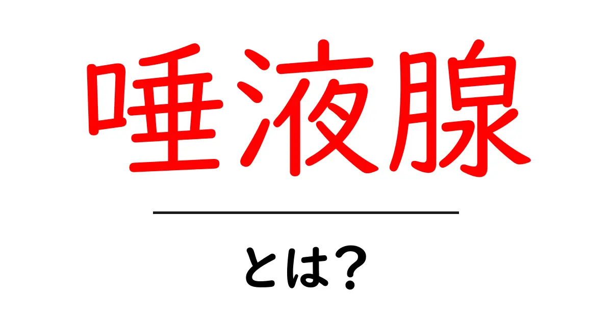 唾液腺・とは？ 初めて学ぶ人にもわかる基礎ガイド共起語・同意語・対義語も併せて解説！