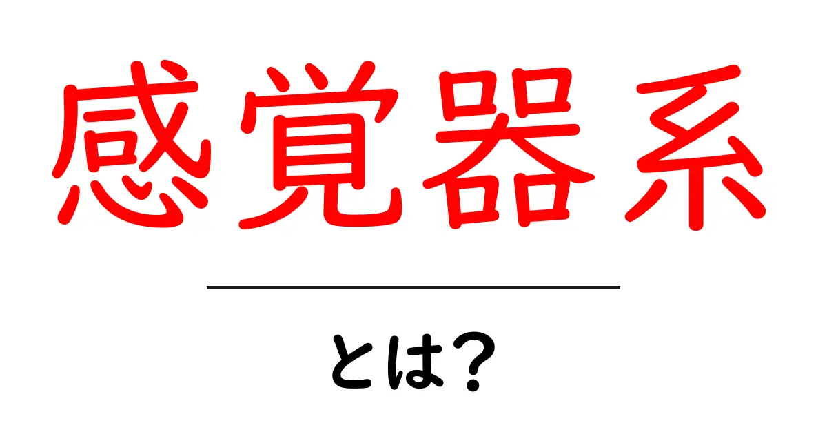 感覚器系とは？五感と体のしくみをやさしく解説！共起語・同意語・対義語も併せて解説！