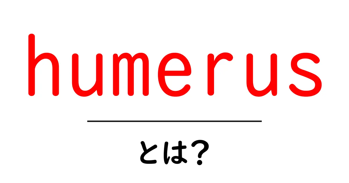 humerusとは？初心者向けに解説する上腕骨の基礎共起語・同意語・対義語も併せて解説！