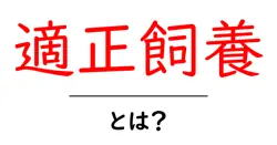 適正飼養とは？初心者でも分かるペットの正しい飼い方ガイド共起語・同意語・対義語も併せて解説！