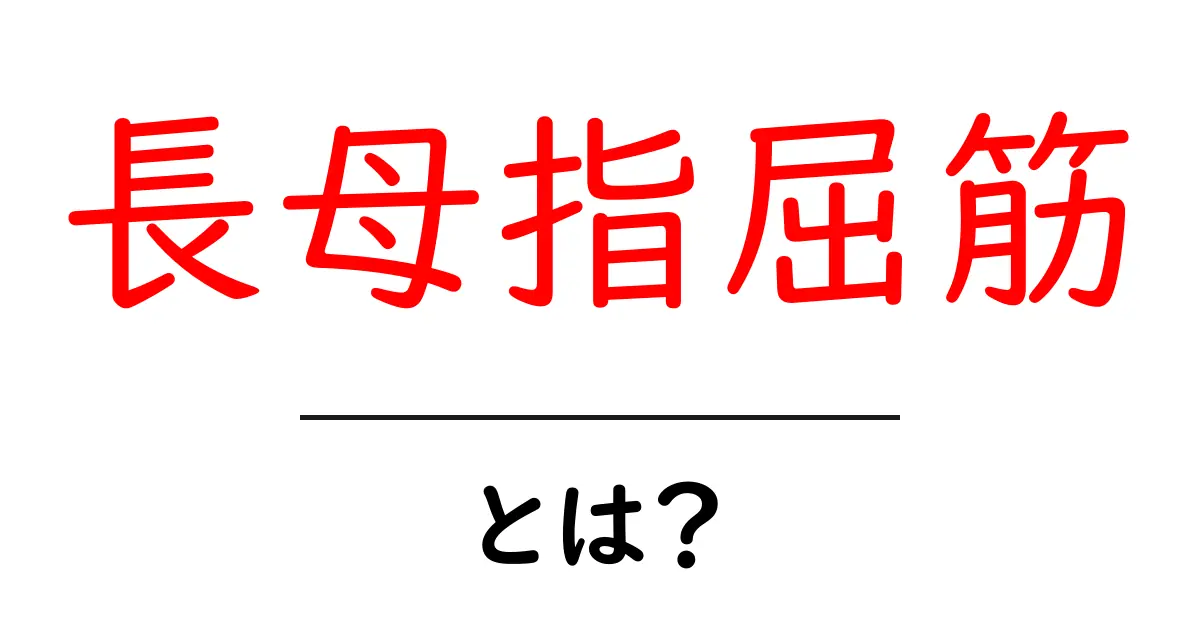 長母指屈筋・とは？初心者向けのやさしい解説共起語・同意語・対義語も併せて解説！