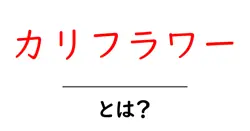 カリフラワー・とは？初心者が押さえるべき基本ポイントと使い方共起語・同意語・対義語も併せて解説！