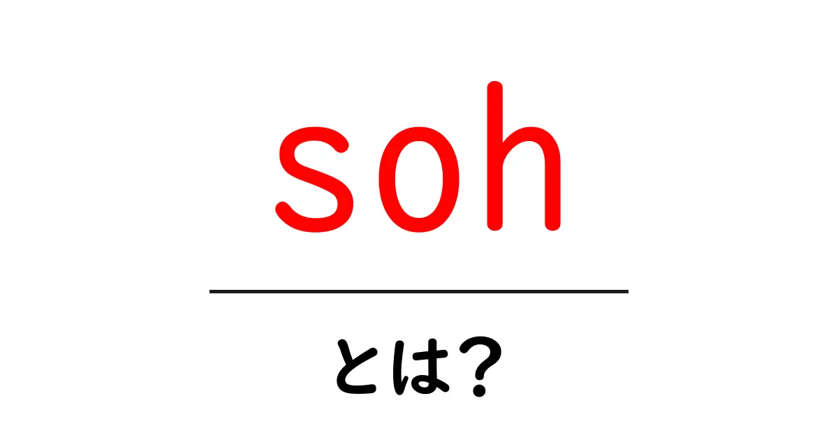 sohとは？初心者向けガイド｜意味と使い方を徹底解説共起語・同意語・対義語も併せて解説！