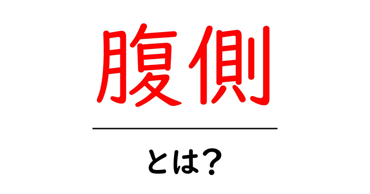 腹側・とは？初心者でも分かる解説と使い方のポイント共起語・同意語・対義語も併せて解説！