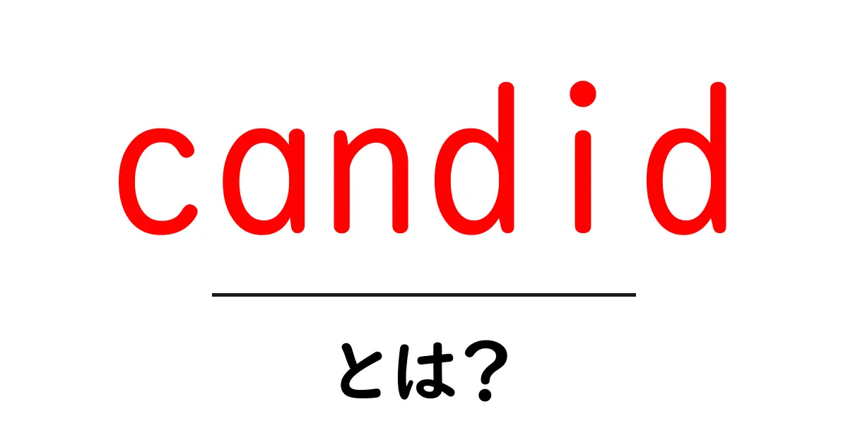 candid・とは？基本の意味と使い方をわかりやすく解説共起語・同意語・対義語も併せて解説！