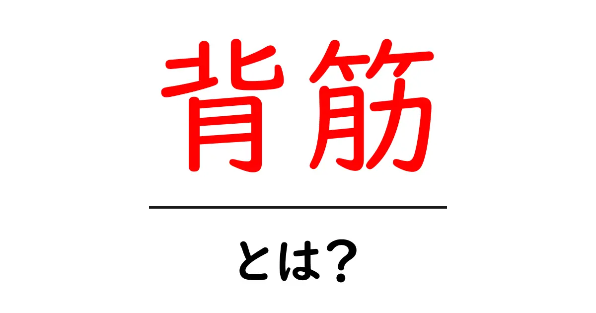 背筋・とは？初心者にも分かる背筋の基本と正しい鍛え方共起語・同意語・対義語も併せて解説！