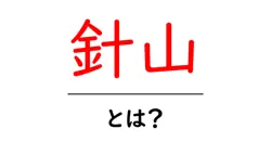 針山・とは？初心者にも分かる針山の使い方と選び方を徹底解説共起語・同意語・対義語も併せて解説！