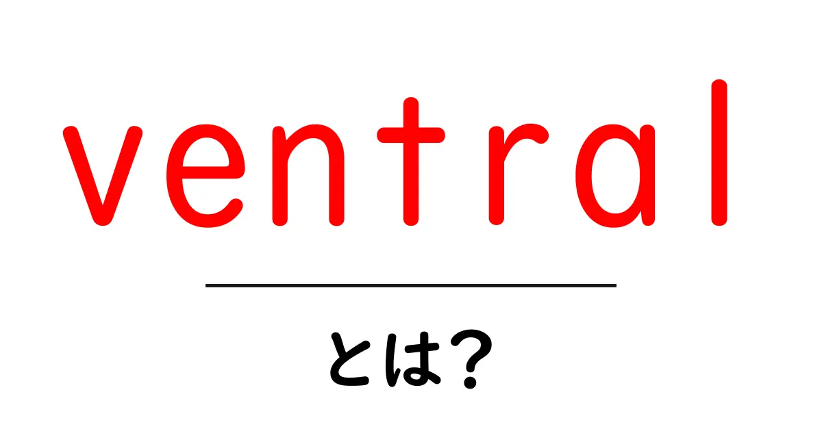 ventralとは?初心者にもわかる解説ガイド共起語・同意語・対義語も併せて解説!