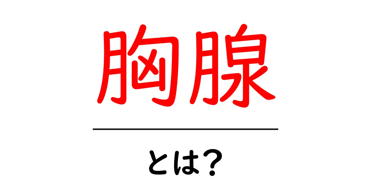 胸腺・とは?免疫の秘密を解くやさしい解説共起語・同意語・対義語も併せて解説!