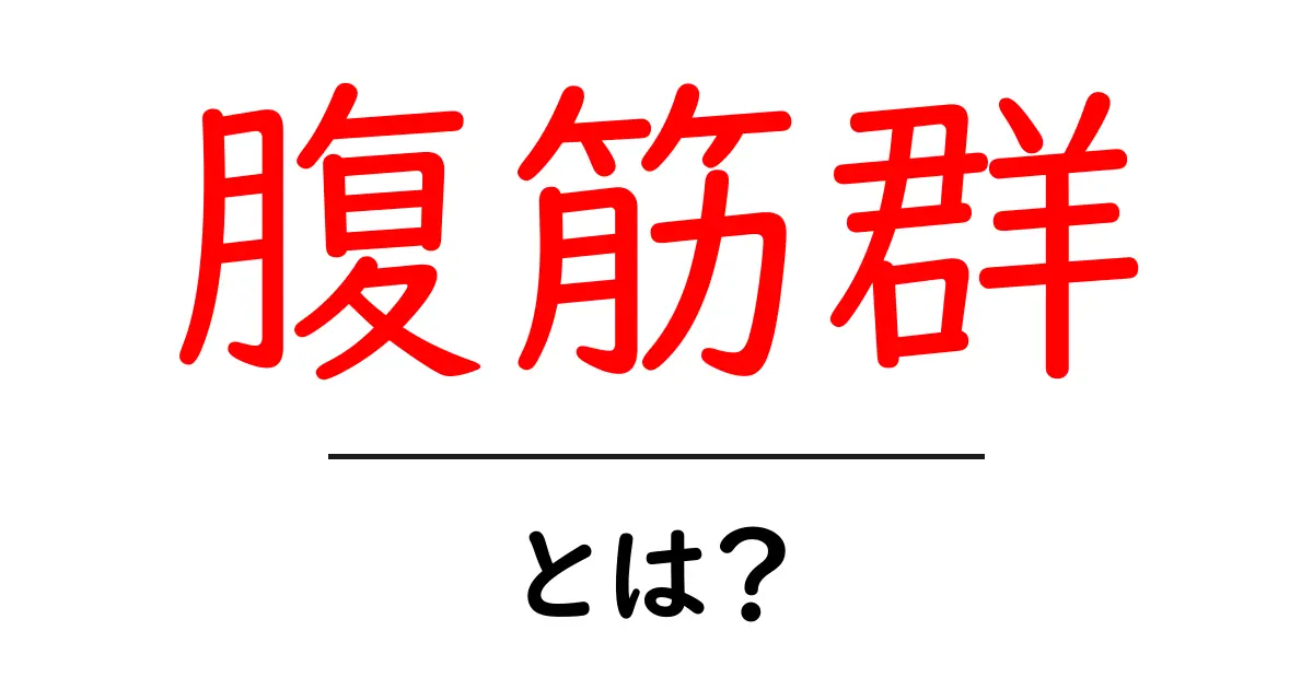 腹筋群とは?初心者でもわかる腹筋群の基礎と効果的な鍛え方共起語・同意語・対義語も併せて解説!