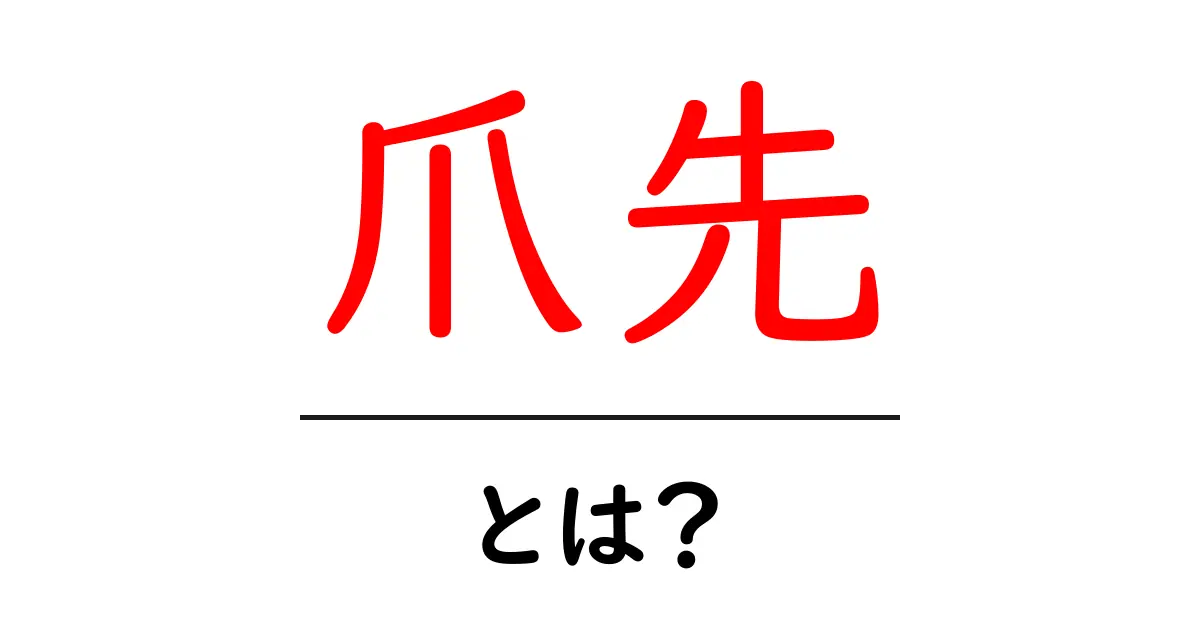 爪先・とは？初心者向けに分かりやすく解説する基礎ガイド共起語・同意語・対義語も併せて解説！