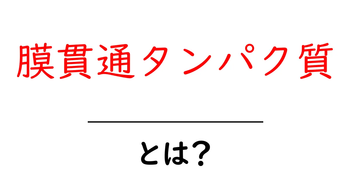 膜貫通タンパク質・とは?中学生にもわかるしくみと役割をやさしく解説共起語・同意語・対義語も併せて解説!