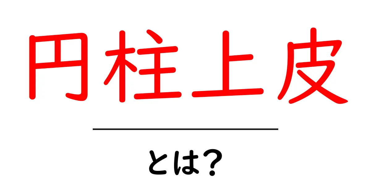 円柱上皮・とは？中学生にも分かるやさしい解説と図解共起語・同意語・対義語も併せて解説！