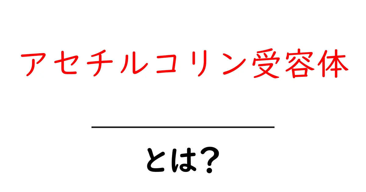 アセチルコリン受容体・とは？初心者向けにやさしく解説する入門ガイド共起語・同意語・対義語も併せて解説！