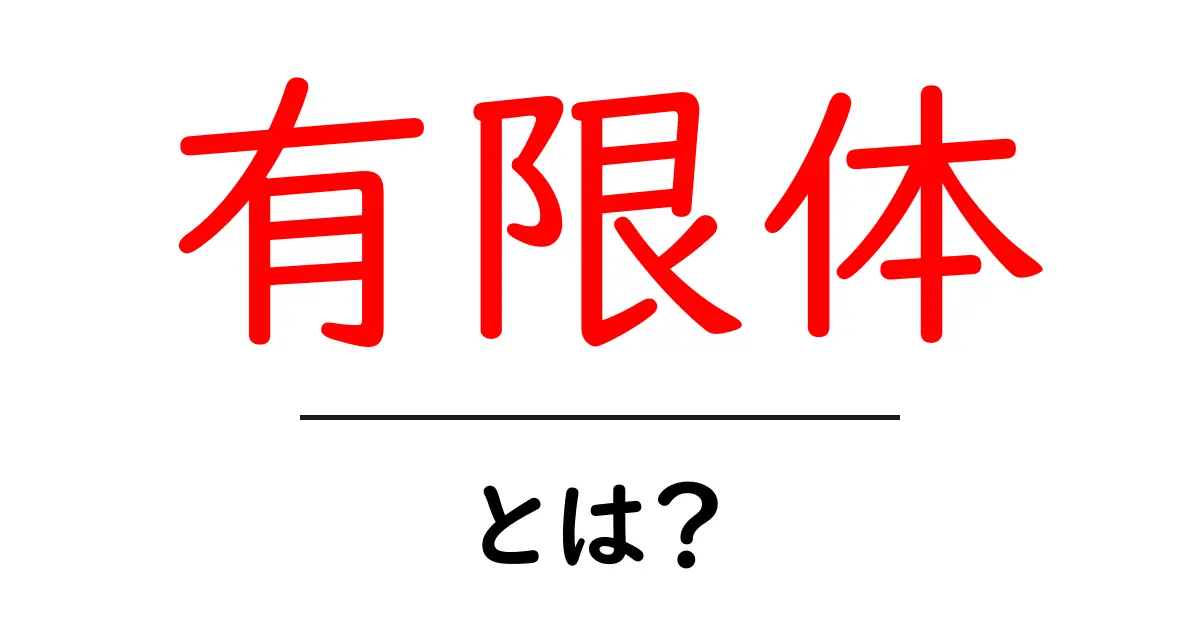 有限体・とは?初心者向けにやさしく解説する基礎ガイド共起語・同意語・対義語も併せて解説!