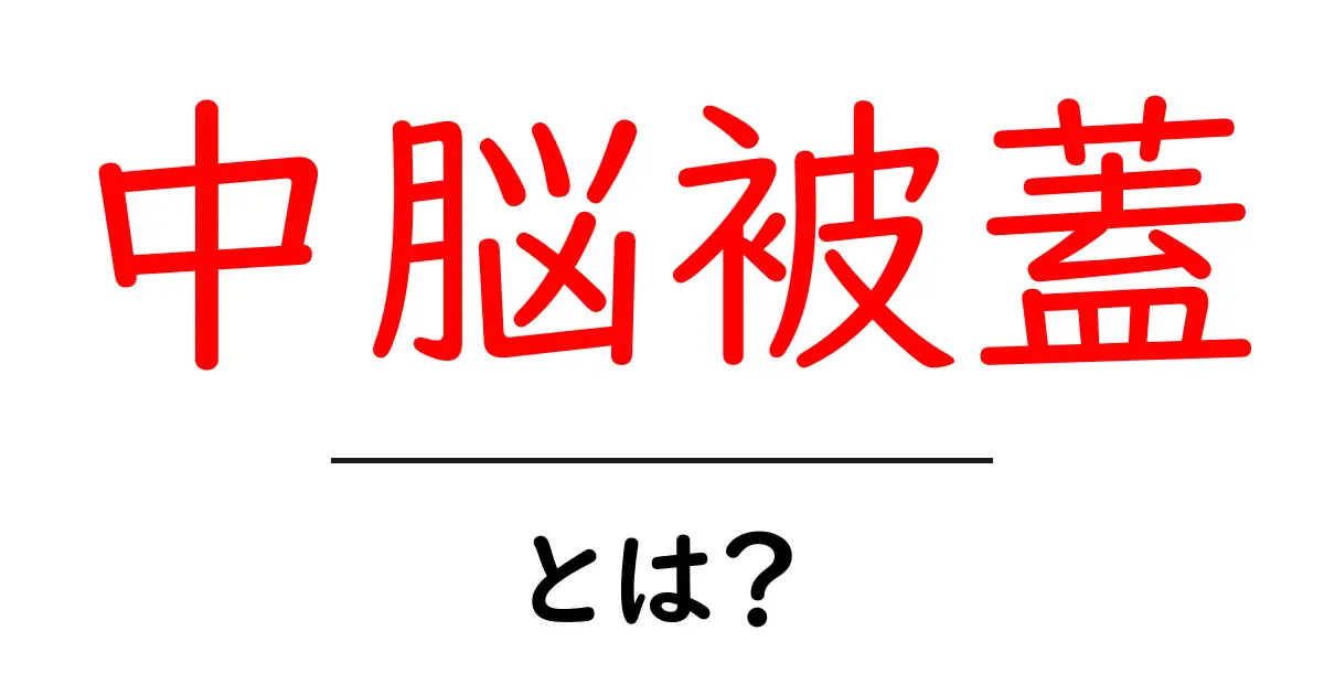 中脳被蓋・とは？中脳被蓋の役割としくみをやさしく解説共起語・同意語・対義語も併せて解説！