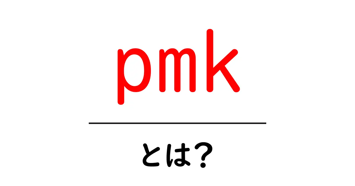pmk・とは?初心者向け解説:pmkの意味と使い方を徹底解説共起語・同意語・対義語も併せて解説!