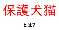 保護犬猫・とは？初心者にやさしい基本と迎え方ガイド共起語・同意語・対義語も併せて解説！